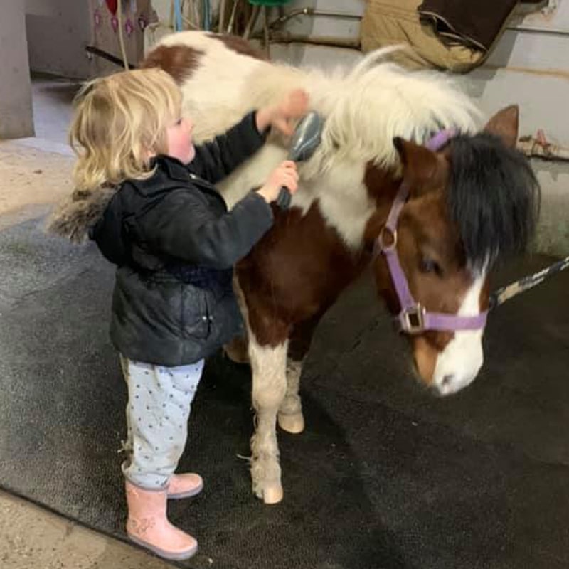 Fille qui bross une poney